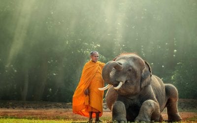 ඇසළ පෙරහර මංගල්ලය හා බැඳුනු චාරිත්ර විධි