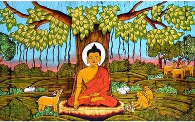 කපෝතක ජාතකය – බෝසත් පරෙවියාගේ කථාව